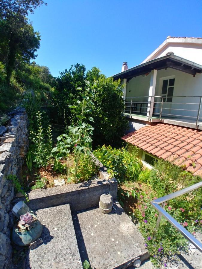Luka  Apartments Bubica מראה חיצוני תמונה