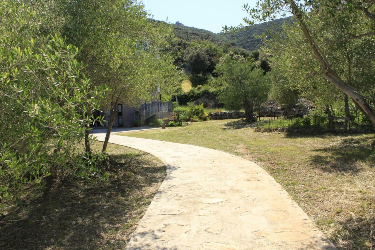 Luka  Apartments Bubica מראה חיצוני תמונה